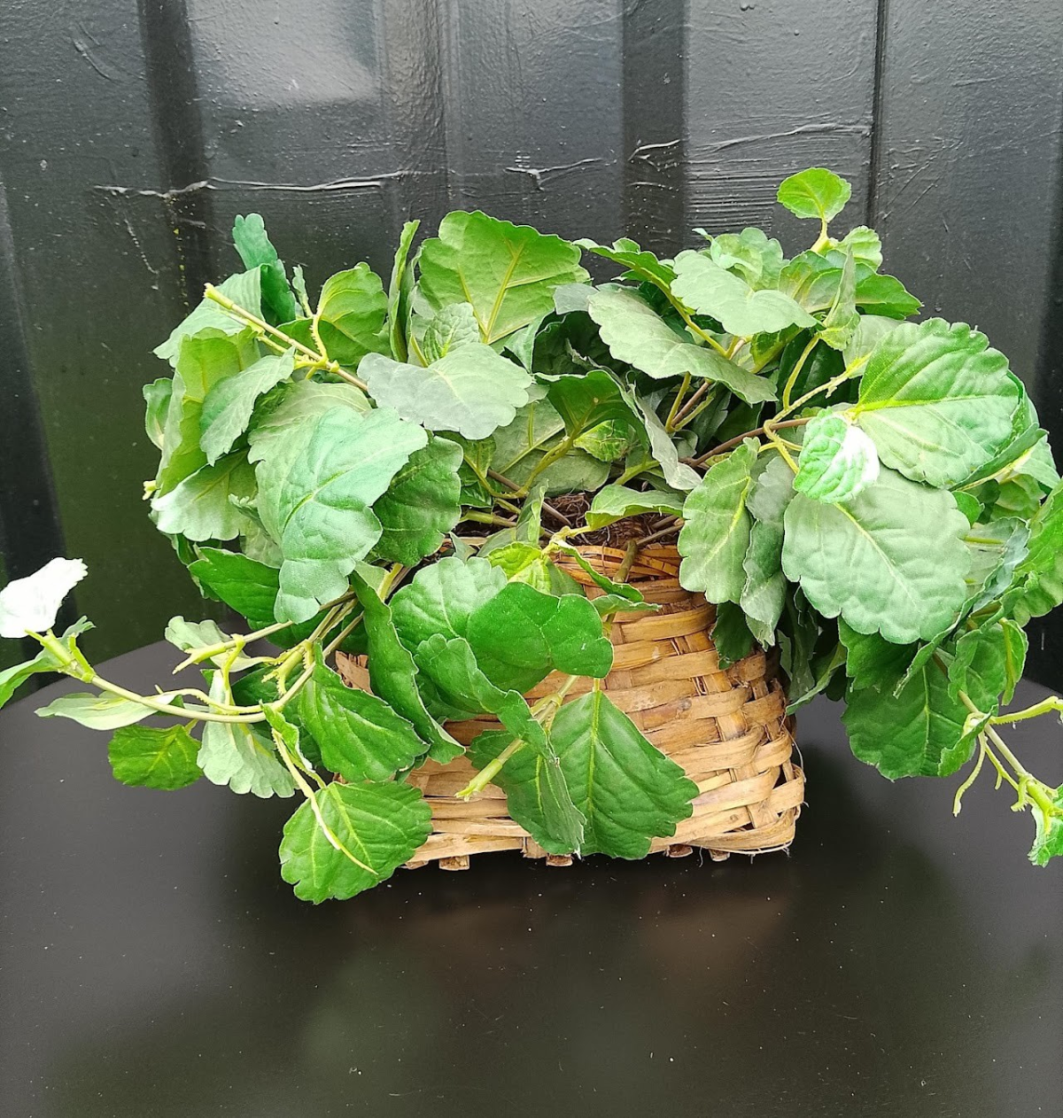 Faux Potted Plant Centerpiece - Image 1