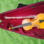 Brown acoustic violin